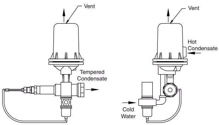 阿姆斯壮 Armstrong 凝结水冷却器排水调温装置 阿姆斯壮 (Armstrong) CC 系列 CC-5 和 CC-12 尺寸图