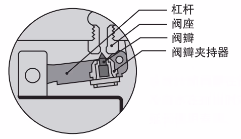 MIYAWAKI ES8N/ES8NF Inverted Bucket Steam Trap - Structure