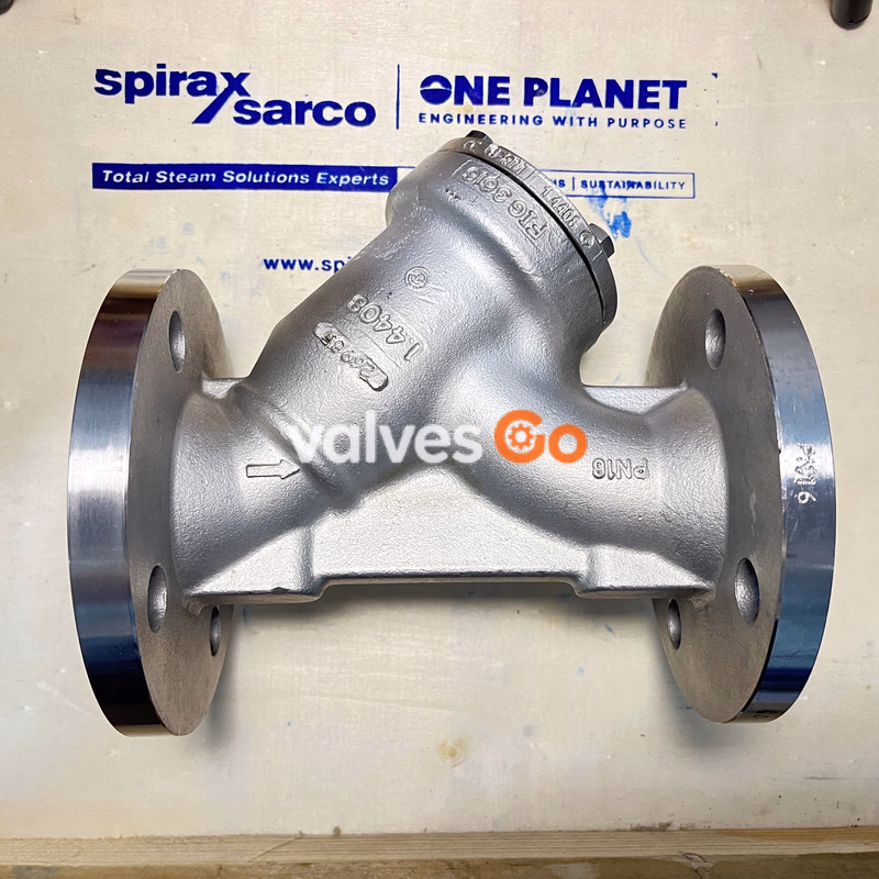 Spirax Sarco Fig 3616 Austenitic Stainless Steel Strainer - Back View