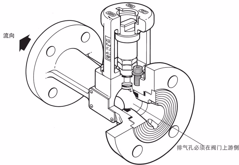 Spirax Sarco KBV21 installation orientation diagram