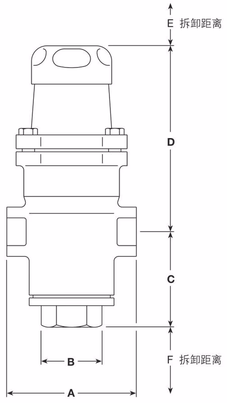 斯派莎克 Spirax Sarco LRV2B/LRV2S 尺寸图