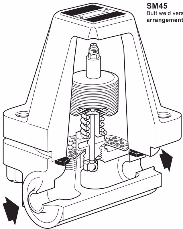 Spirax Sarco SM45 valve arrangement