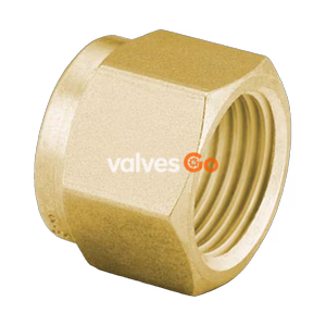 Swagelok B-102-1 Brass Nut for 1/16 in. Tube Fitting