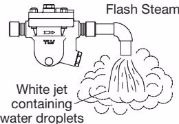 TLV JH7RH-P normal flash steam discharge