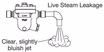 TLV JH7RH-P steam leakage condition