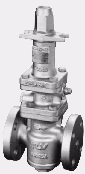 TLV SP-COSR-16 surplussing valve internal cutaway view
