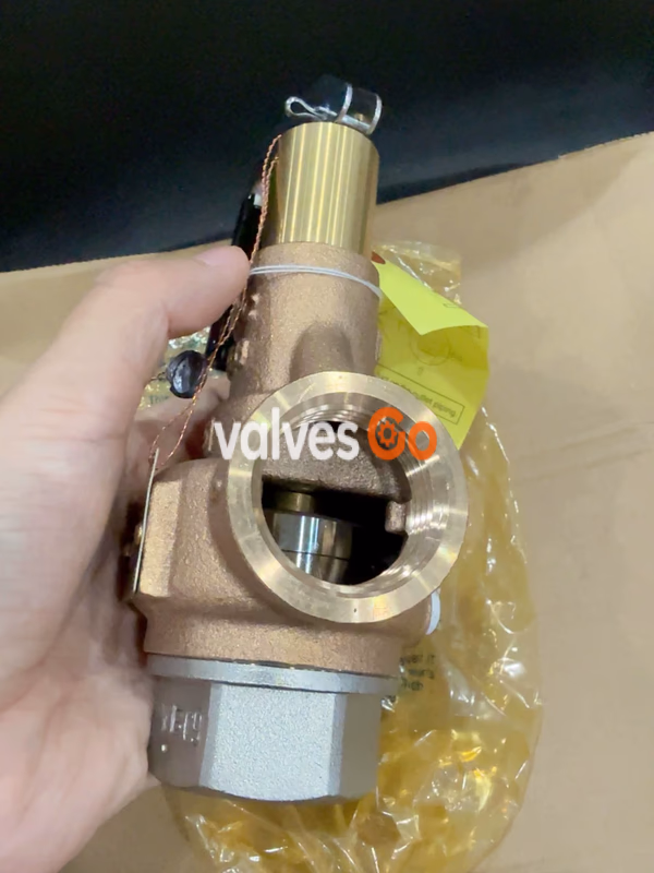Yoshitake AL-150L Safety Relief Valve Side