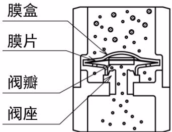 耀希达凯 Yoshitake TS-5BP 开始通气